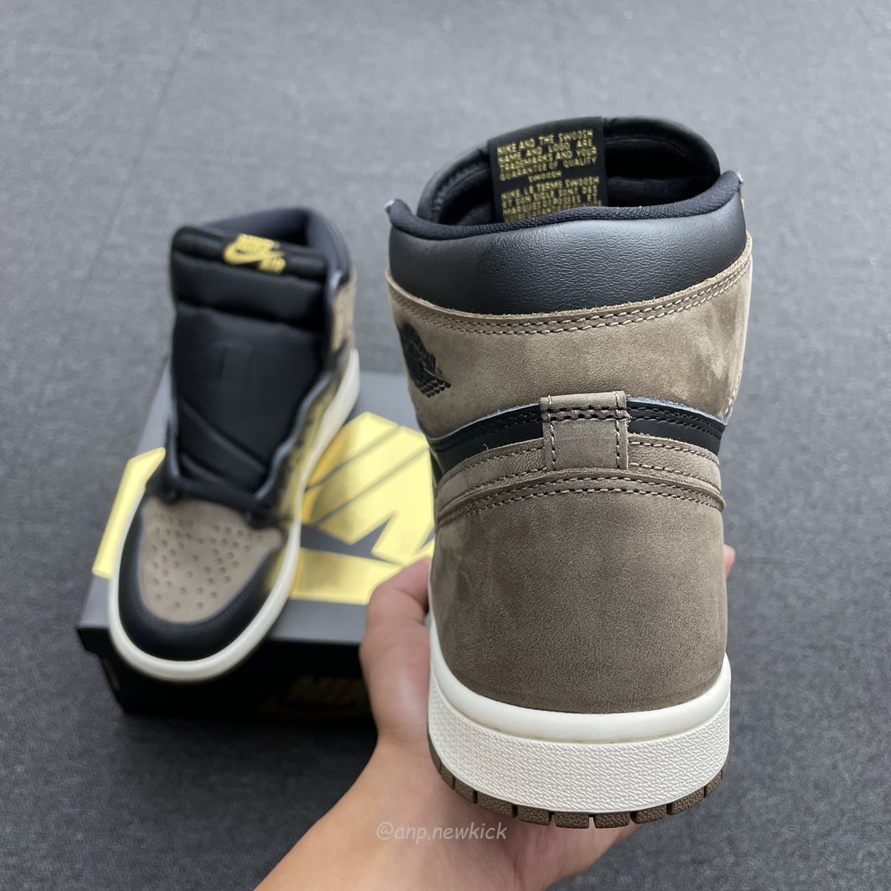 Air Jordan 1 Retro High OG Palomino DZ5485-020