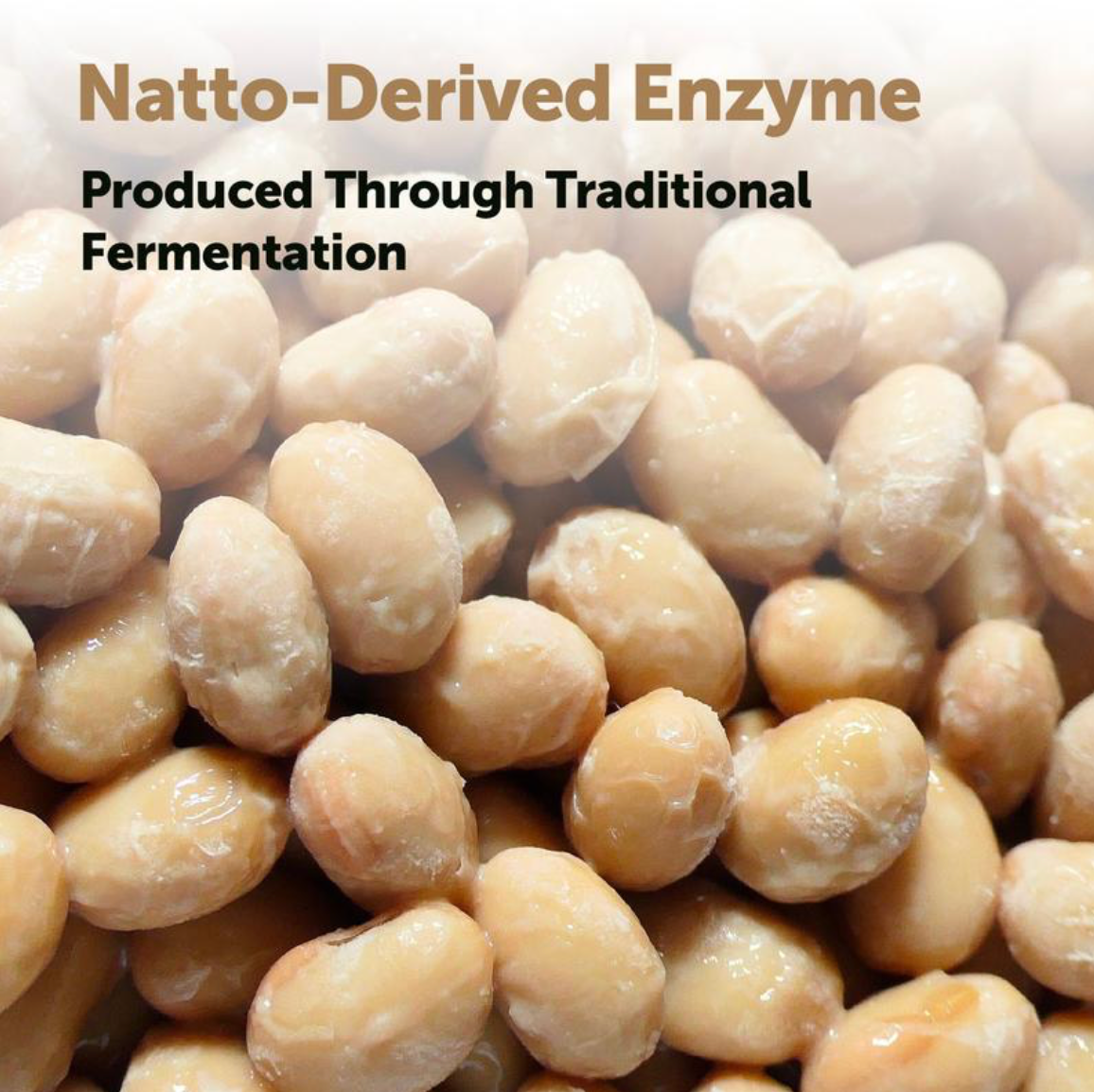 MicroLabs Nattokinase 10,000FU Complex